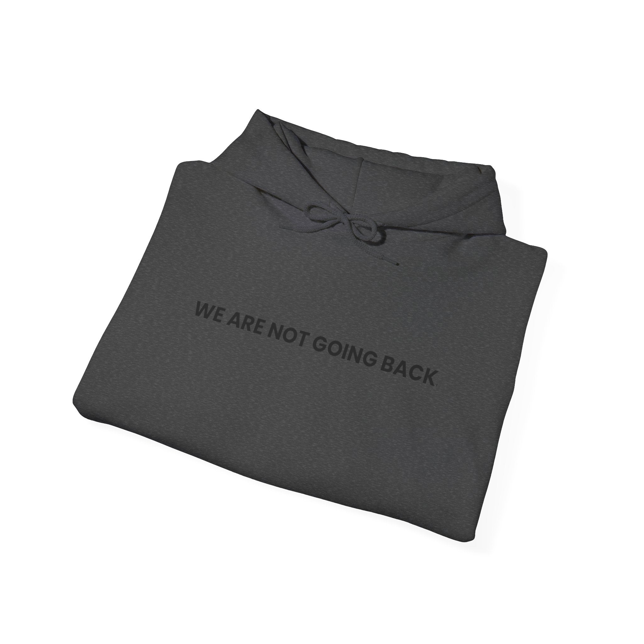 Changes  Ahead Not Going Back, Hoodie